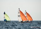 DSC6928 : cagliari, campionati europei, hobie cat, vela