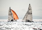 DSC6932 : cagliari, campionati europei, hobie cat, vela